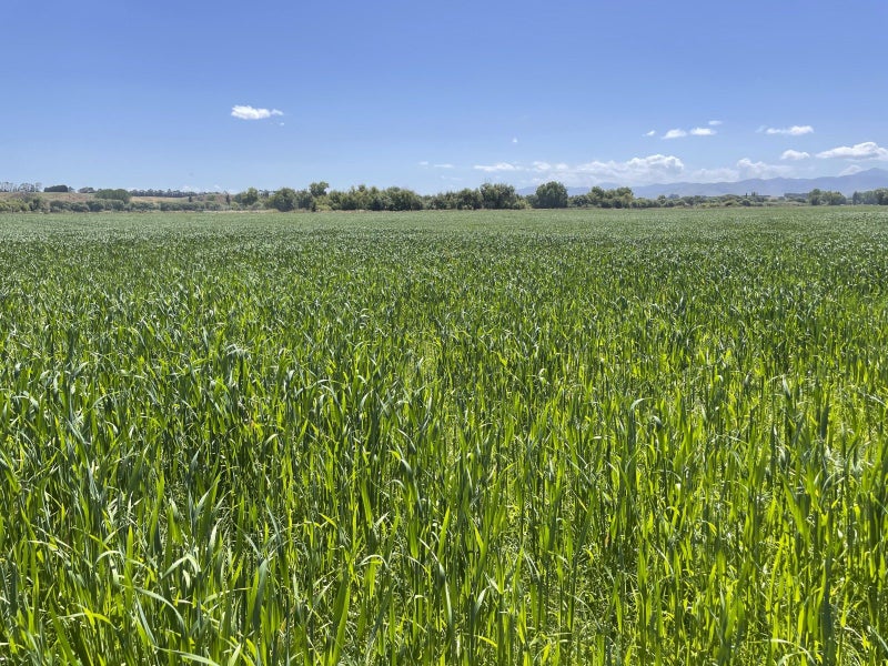 Image 1 of 11