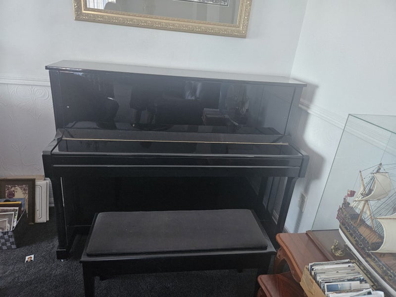 Suzuki Piano Carousel 1