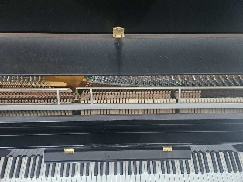 Suzuki Piano Carousel 3