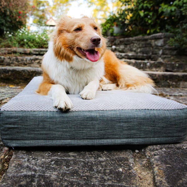 Charlie's Universal Dog Orthopedic Foam Crate Mattress Bed Grey - Small Carousel 10