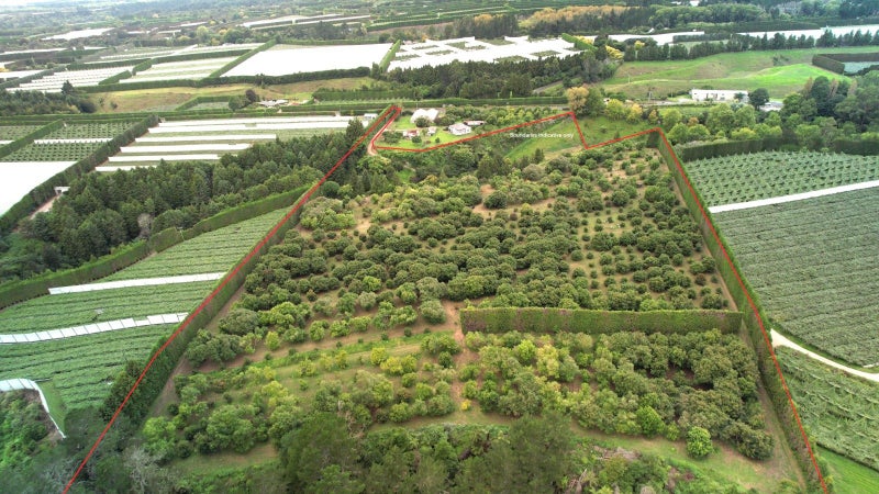 Image 1 of 14