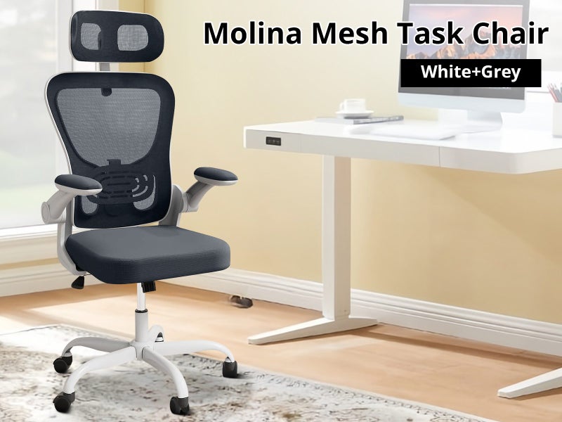 Office Chair Carousel 2