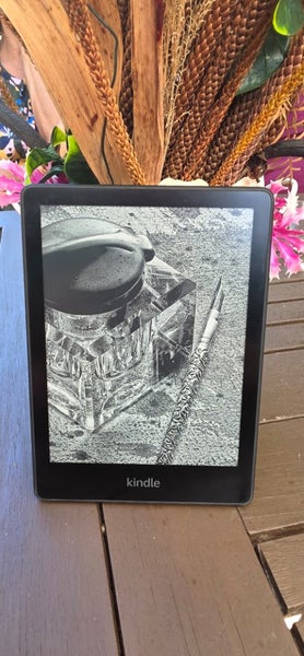 Amazon Kindle M2L3EK 11gen Carousel 2