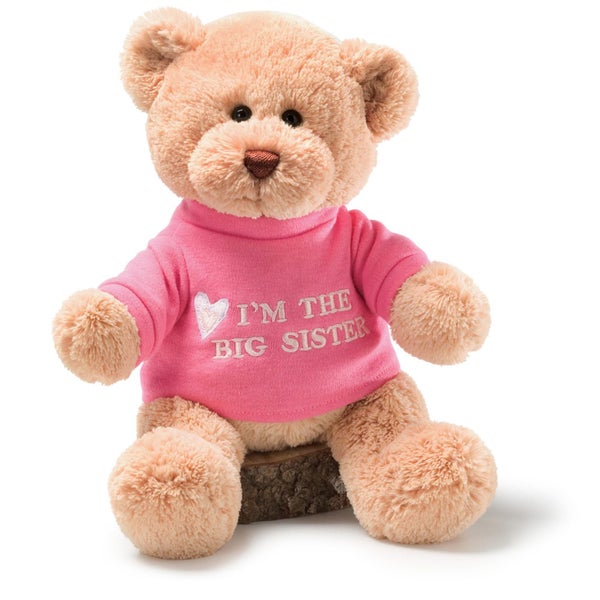 GUND ?? The Big Sister?essage Bear with Pink T-Shirt, Teddy Bear Stuffed Ani Carousel 1