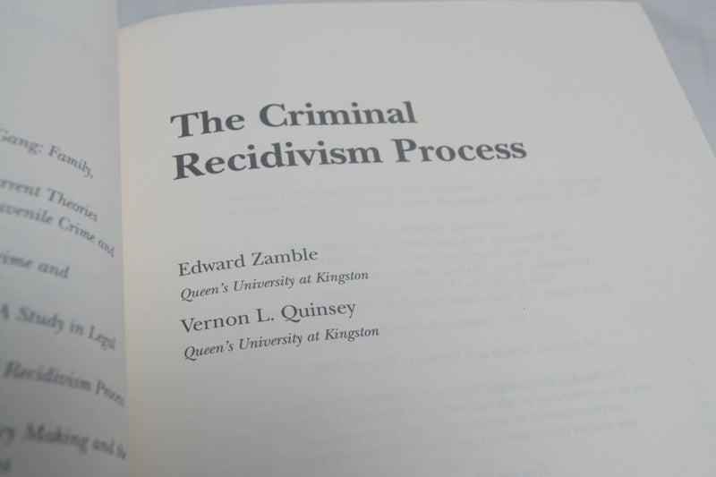 The Criminal Recidivism Process Carousel 2
