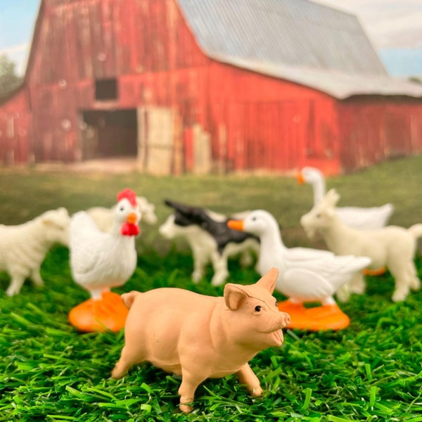 Safari Ltd. Farm TOOB - 12 Figurines Including Cow, Pig, Goat, Horse, and More - Carousel 2