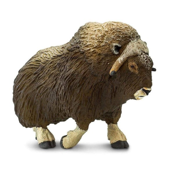 Safari Ltd. Muskox Figurine - Detailed 3.5" Plastic Model Figure - Educational A Carousel 1
