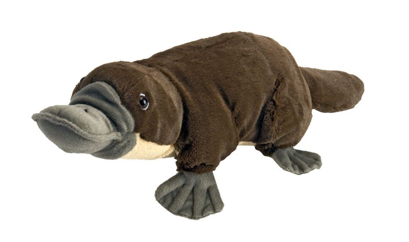 Wild Republic Platypus Plush, Stuffed Animal, Plush Toy, Gifts for Kids, Cuddlek Carousel 2