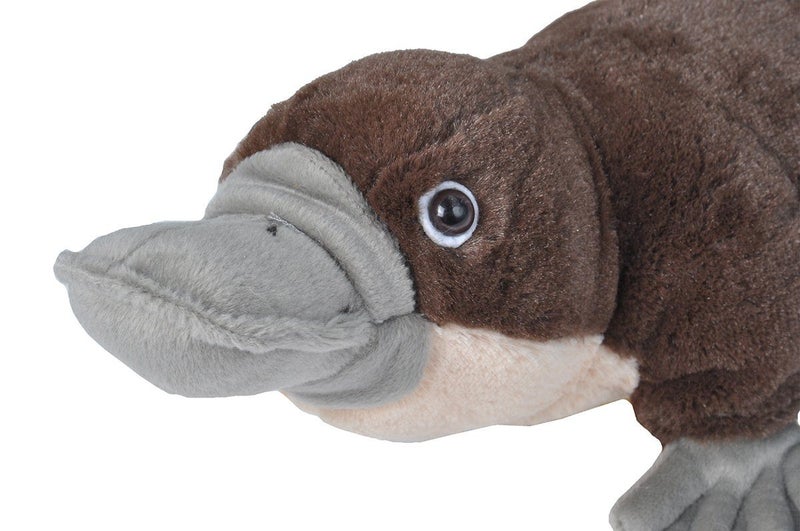 Wild Republic Platypus Plush, Stuffed Animal, Plush Toy, Gifts for Kids, Cuddlek Carousel 3