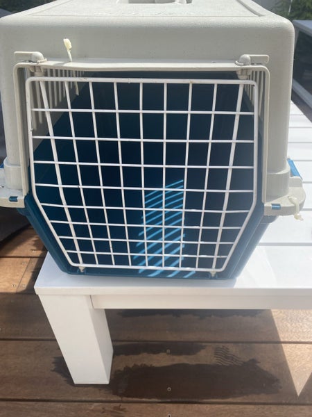 Pet Carrier / aeroplane standard Carousel 4
