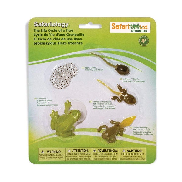 Safari Ltd. Life Cycle of a Frog Figurine Set - Miniature Educational Biology To Carousel 1