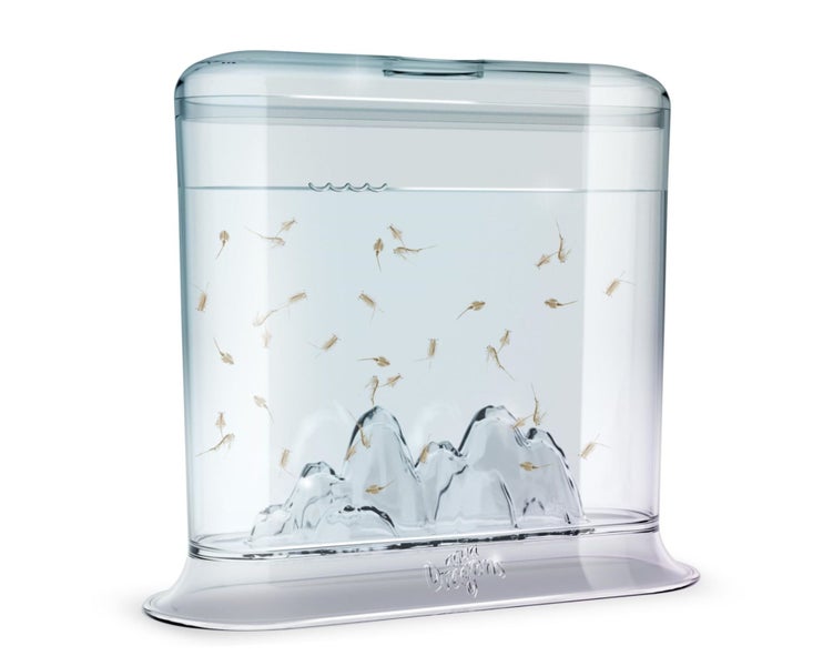 Animagic Aqua Dragons Hatch 'n' Grow Basic Tank | Build an Aquatic Ecosystem, Wa Carousel 2
