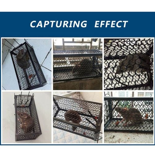 4pcs Mouse Trap Rat Traps Pest Control 2026201* Carousel 2
