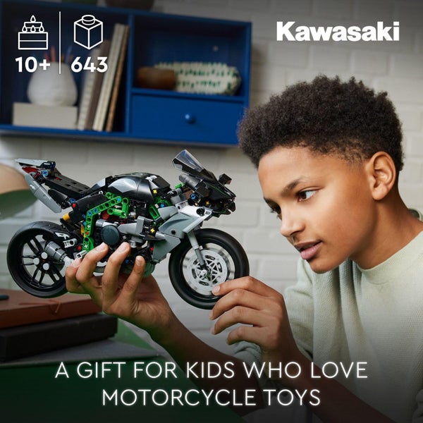 LEGO Technic Kawasaki Ninja H2R Motorcycle Toy - Building Toys for Kids, Boys & Carousel 2