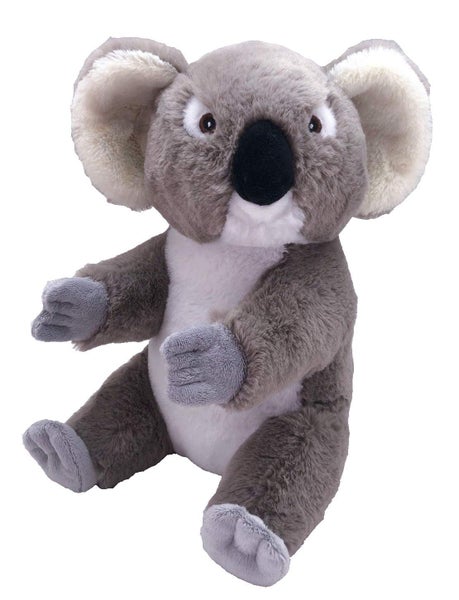 Wild Republic EcoKins Koala Stuffed Animal 12 inch, Eco Friendly Gifts for Kids, Carousel 1