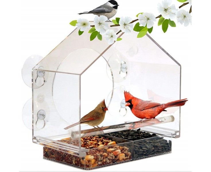 Premium Clear Plastic Window Bird Feeder for Outdoor Use - Window Bird Feed Carousel 1