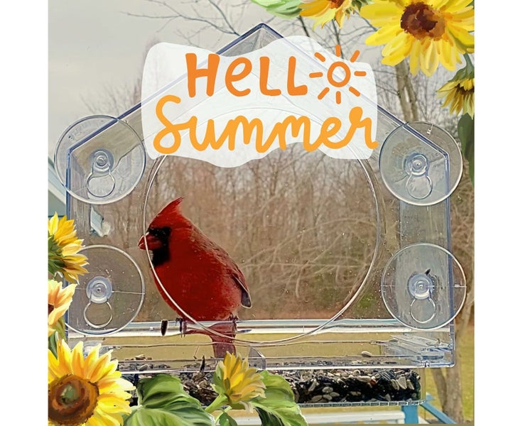 Premium Clear Plastic Window Bird Feeder for Outdoor Use - Window Bird Feed Carousel 2