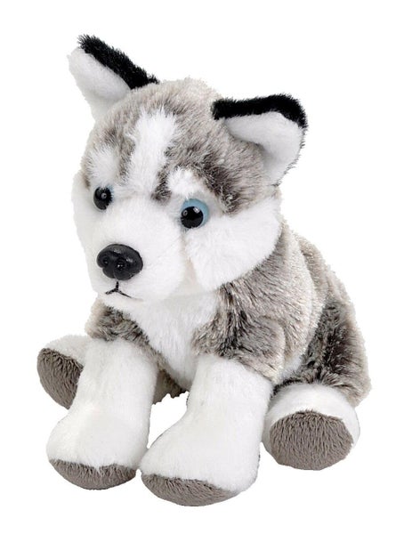 Wild Republic Pocketkins Eco Husky, Stuffed Animal, 5 Inches, Plush Toy, Made fr Carousel 1