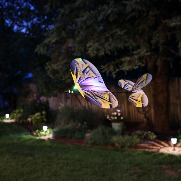 E-flite RC Airplane UMX Night Vapor RTF to Fly is Included with AS3X and Safe Se Carousel 2