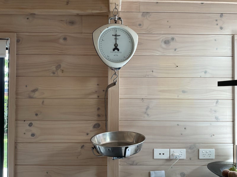 Salter Hanging Scales Carousel 2