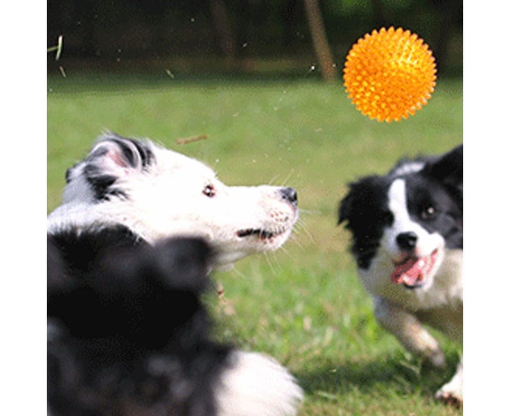 Set of 2 Pcs Pet Dog Squeaky Toys Spiky Dog Balls Cleaning Teeth Chewing To Carousel 2