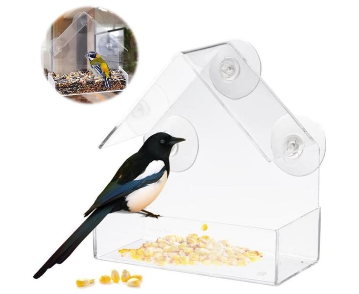 Clear Acrylic Window Bird Feeding Window Bird Feeders Clear Acrylic Glass W Carousel 1
