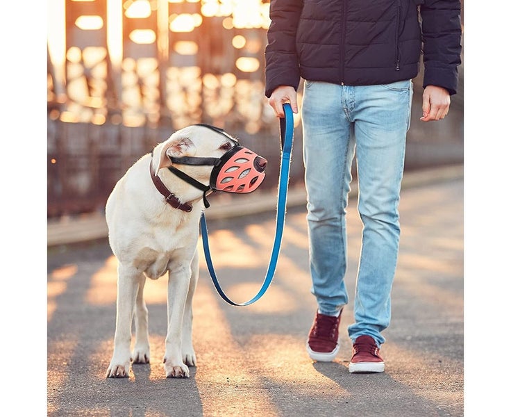 Dog Muzzle Cover, Breathable Basket Muzzles for Small, Medium, Large Dogs, An Carousel 2