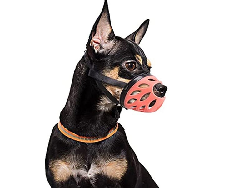 Dog Muzzle Cover, Breathable Basket Muzzles for Small, Medium, Large Dogs, An Carousel 4
