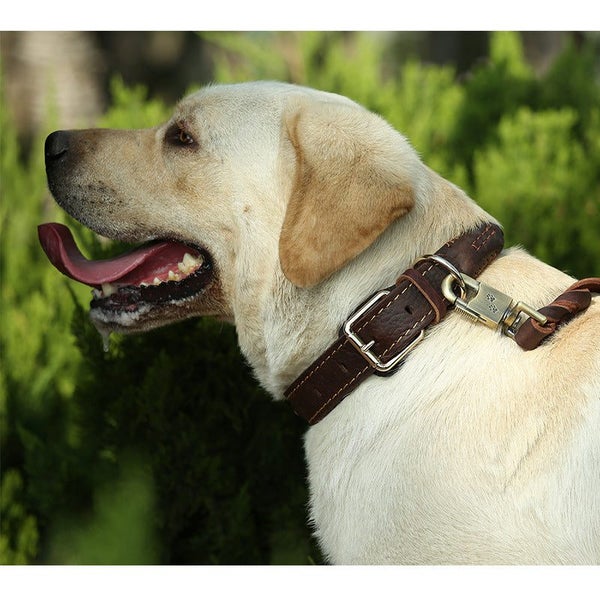 Genuine Leather Woven Dog Collar | TOUCHANDCATCH NZ Carousel 2