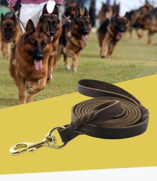 Genuine Leather Dog Lead 2.6 Metre 18GLD | TOUCHANDCATCH NZ Carousel 3