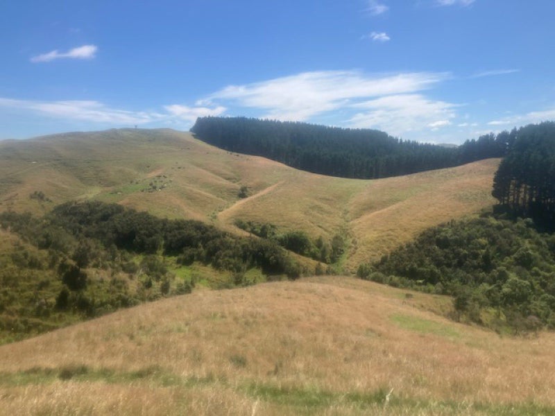 Image 3 of 29