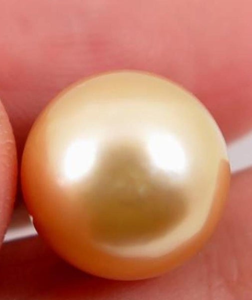 Rich Golden Authentic Large South Sea Pearl Pendant Carousel 6