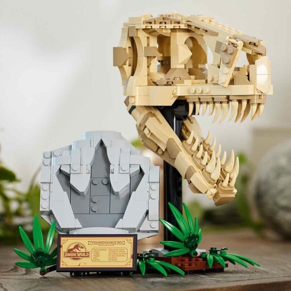 LEGO 76964 Jurassic World T.-rex-Kopf, Fu?abdruck Carousel 2