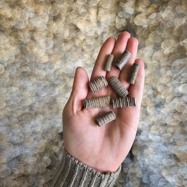 Crinoid Stem Fossil Carousel 1