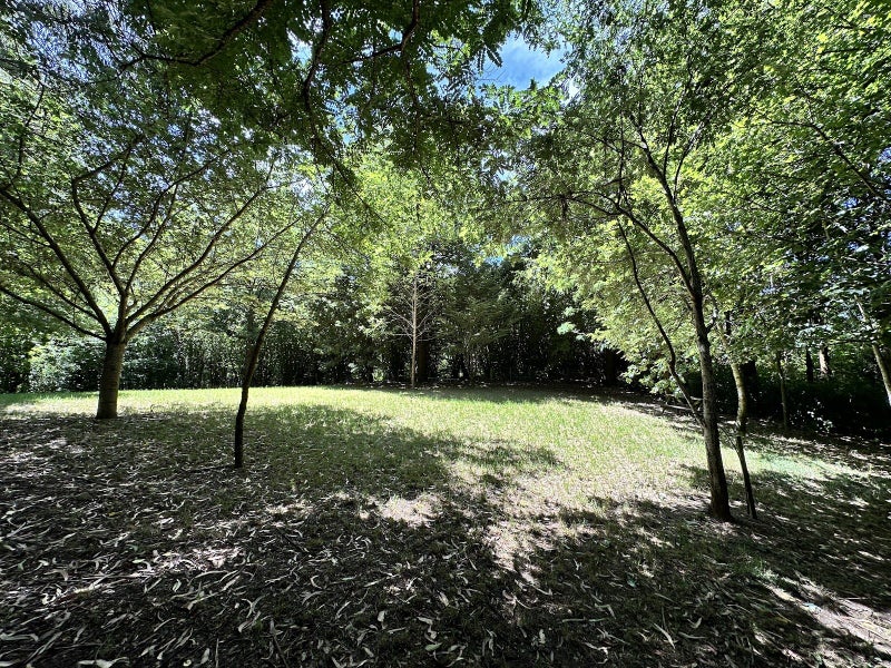 Image 1 of 21