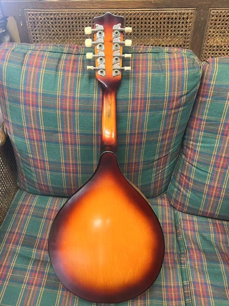 Brand New Wooden Mandolin Carousel 2