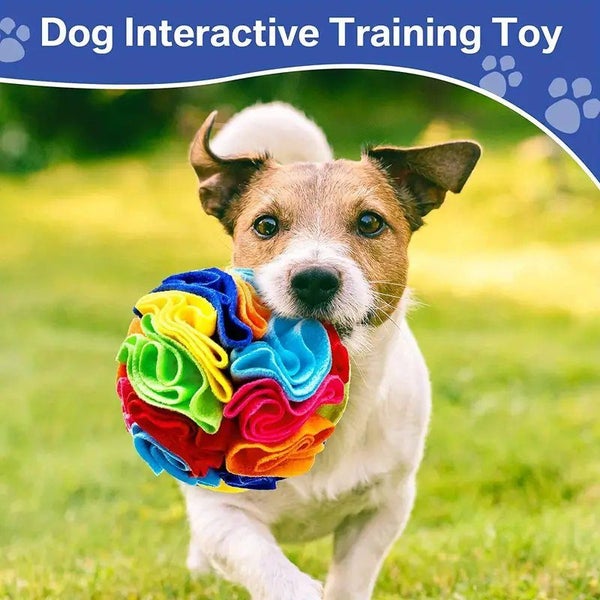 PTN NEW 1PC Engaging Snuffle Ball Toy For Dogs Promotes Mental Stimulation Toy Carousel 1