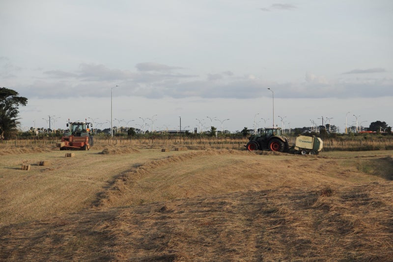 Round Hay Bales628638473866261110