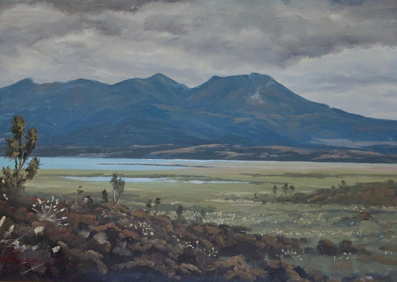 Johnathan R White (1938-) Oil ''Mt Tongiriro &Lake Rotoaira National Park Carousel 2