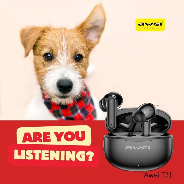 Wireless Bluetooth Earbuds – Easy Fit – Charging Case – 6hr Playtime Carousel 5