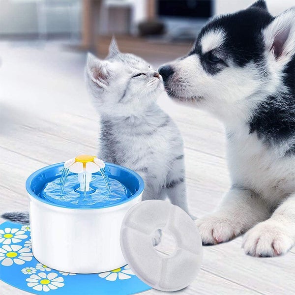 16Pcs Automatic Pet Fountain Cat Water Dispenser Replacement Multi-Filtration Sy Carousel 2