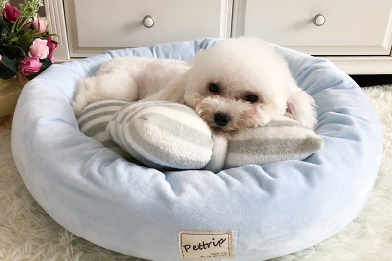 2Pcs Small Calming Dog Bed for Dogs Puppy Round Washable Pet Donut Bed For Cat-B Carousel 2