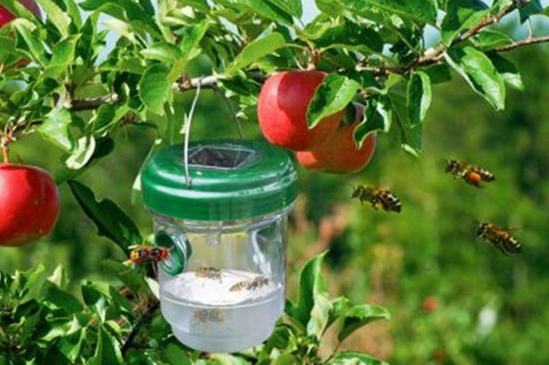 2Pcs Reusable Outdoor Garden Hanging Solar Powered Bee Trap Flying Insects Bee K Carousel 2