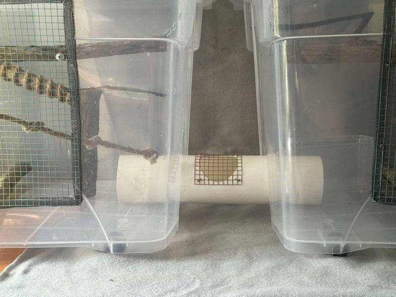 NEW Cage Joiners! Carousel 1