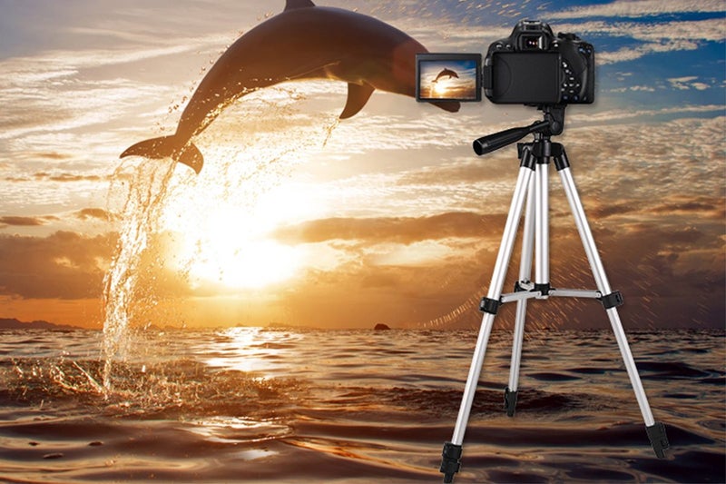 Adjustable Phone and Camera Tripod Portable Stand for Photography and Video Reco Carousel 2