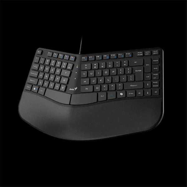 Genius Ergo KB-700 USB Wired Ergonomic Keyboard with Palm Rest [ERGO KB-700] Carousel 2