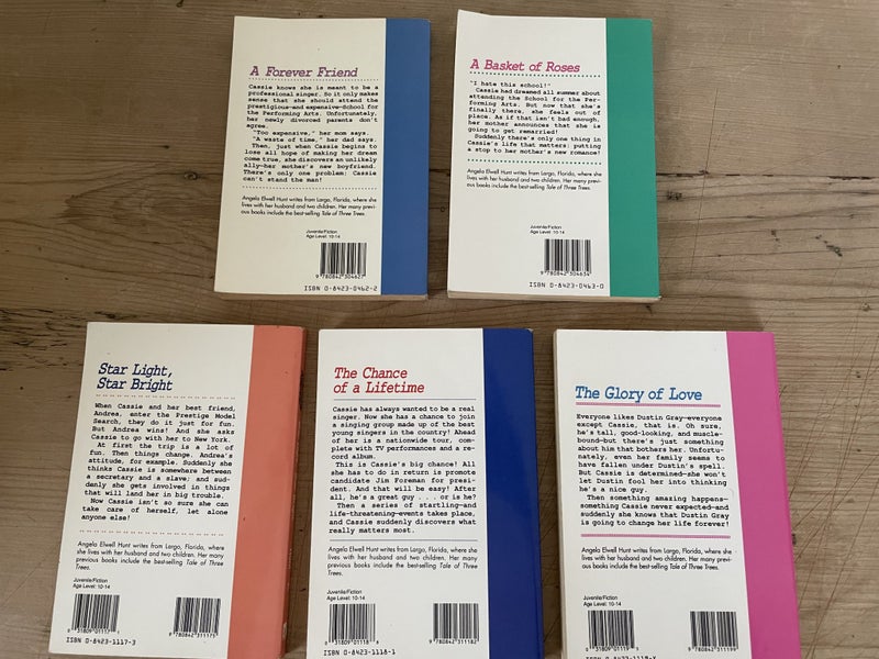 Cassie Parkins Series by Angela Elwell Hunt 5 Book Bundle (#2,3,7,8,9) Carousel 4