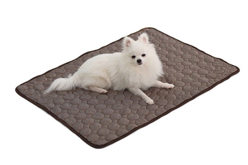 Summer Cooling Mat Sleeping Pad Waterproof for Pets Kids and Adults-Brown Carousel 1