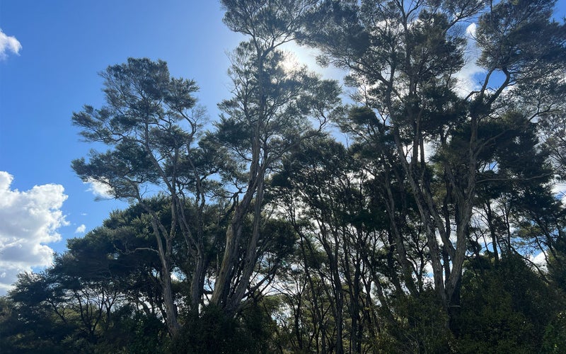 Image 2 of 8
