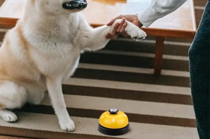 Dog Cat Pet Training Bells Training Equipment Interactive Toys Interactive Toys Carousel 2